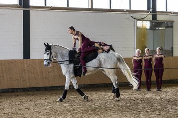 Bild 731 - Voltigierturnier
